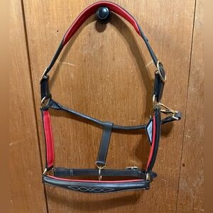 Henri de Rivel leather Padded Halter - Havana - Horse